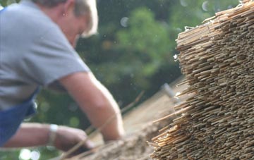 professional Ivy Cross thatchers